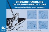 ONBOARD HANDLING OF SASHIMI-GRADE TUNAcoastfish.spc.int/Fishing/Sashimi_E/Sashimi.pdf · The tuna with the highest fat content attract the best prices in the sashimi market. • Non-biological