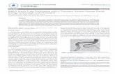 Journal of Clinical & Experimental Cardiology · Above the antecubital fossa, however, the wire failed to advance further and a 0.035” Glidewire (stiff, 180 cm length, with standard