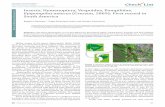 ISSN 1809-127X (online edition) © 2010 Check List and ... · Pompilidae) de la región Neotropical. ... Introducción a los Hymenoptera de la Región Neotropical. Bogotá: Sociedad