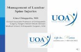 Management of Lumbar Spine Injuries€¢ Surgery criteria: HNP on MRI, leg pain with playing sport, failed 6 wks non-op treatment • 53 (83%) returned to their sport, avg 5.2 months