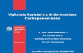 Vigilancia Resistencia Antimicrobiana Carbapenemasas · Metalo Beta Lactamasa: IMP, VIM , ... es en gran medida por incremento de cepas de hisopado rectal ... y el envío de cepas
