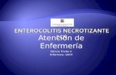 Enterocolitis Necrotizante - biblioceop | Just another … · PPT file · Web view2011-02-28 · Atención de Enfermería Patricia Triviño V. Enfermera- UACH Continuación… NANDA