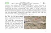 The Nazca Lines A Non-mysterious, Non-extraterrestrial ...vixra.org/pdf/1412.0149v1.pdf · 1 The Nazca Lines A Non-mysterious, Non-extraterrestrial Explanation Joel M Williams - ©2014