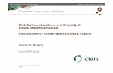 Distribution, Abundance and Diversity of Fungal ...orgprints.org/17403/4/17403.pdf · Fungal Entomopathogens: Foundations for Conservation Biological Control Nicolai V ... 0 50 100