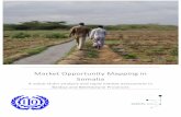 ILO Market Opportunity Mapping in Somalia FINALsamuelhall.org/.../10/ILO-Market-Opportunity-Mapping-in-Somalia.pdf · Market'Opportunity*Mapping*in* Somalia! A"value"chain&analysis&and&rapid&market&assessment!in#
