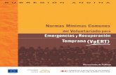 Documento de Trabajoweb.cruzrojacolombiana.org/publicaciones/pdf/Normas Minimas Vol... · de la Cruz Roja y de la Media Luna Roja, ... En el Taller sobre el Ciclo de Gestión del