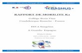 Collège Boris Vian Coudekerque Branche - France IES A ...data.over-blog-kiwi.com/1/91/81/87/20170602/ob_4db16a_rapport... · ERASMUS+ K101 Vers une Pédagogie efficiente Année 2016/2017