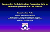 Engineering Artificial Antigen Presenting Cells for Efficient … · • Julio Cotte • Dawn Maier