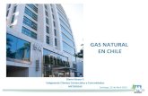 GAS NATURAL EN CHILE - metrogas.cl Bozzo.pdf · La Historia del Gas Natural en Chile ENAP inicia distribución en Punta Arenas y Puerto Natales Comienza distribución de GN en RM,