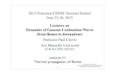 2015 Princeton-CEFRC Summer School June 22-26, 2015 Lecture... · i dx d dx D i dY i dx = j ... c ul ar ec t y D ege ne rate Inﬁnite numbers of solutions One particular solution