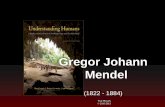 Gregor Johann Mendel - University of Minnesota Duluth · 2012-09-18 · Gregor Johann Mendel (1822 - 1884) Gregor Mendel Understanding Humans, 10th ed., p. 50 . ... Hugo de Vries