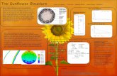The Sunflower Structure - WordPress.com · The Sunflower Structure group 30 member : Cyrus Fabi Matthew Brown Kabelo Sekoto ...  ...