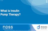 What is Insulin Pump Therapy - Diabetes Australia · People using insulin pumps will be coming to you to purchase their IPCs and may ask questions ... What is Insulin Pump Therapy