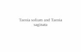 Taenia solium and Taenia saginata - gmch.gov.in lectures/Microbiology/22 Taenia.pdf · A history of intestinal taeniasis often helps in the diagnosis. Treatment • Praziquentel and
