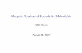 Margulis Numbers of Hyperbolic 3-Manifolds · Margulis numbers, cont’d If M is closed, or 2-dimensional, or 3-dimensional and orientable, all elementary subgroups of are abelian.