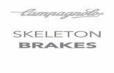 SKELETON - Official Website Campagnolo · nimiento y reparación de la bicicleta requieren competencias específicas, expe- ... Controlar siempre que durante la fase de ensamblaje