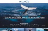 The Best Whale Watching in Europe - uk.whales.org · Vanessa Williams, Sue Fisher, Eva Bömelburg, Kate Sweeney, Nicolas Entrup Cover photography: Gordon Liddle (main photo); William
