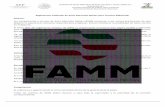 Reglamento Unificado de Artes Marciales Mixtas para ...famm.com.mx/wp-content/uploads/2018/01/Regamento-Amateur-FAMM01-26... · Todas las peleas serán evaluadas y calificadas por