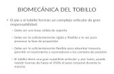 BIOMECÁNICA DEL TOBILLO - Blog personal de Alejandro Gomezalegomez.comunidadcoomeva.com/blog/uploads/TOBILLOFILE... · PPT file · Web view2014-05-26 · El pie y el tobillo forman