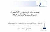 Virtual Physiological Human Network of Excellence - ETSI · Virtual Physiological Human Network of Excellence Vanessa Díaz-Zuccarini, University College London ... • VPH NoE -