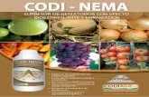 Folleto CODI NEMA - codiagroperu.com CODI NEMA.pdf · tanto en el suelo como en la raíz, evitando que dañen a la planta. CODI-NEMA tiene efecto bioestimulante. Es un producto de