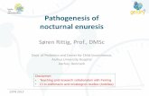 Pathogenesis of nocturnal enuresis - espn-online.org · Pathogenesis of nocturnal enuresis ESPN 2015 Disclaimer: • Teaching and research collaboration with Ferring • CI in solifenacin