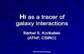 HI as a tracer of galaxy interactions · HI as a tracer of galaxy interactions Bärbel S. Koribalski (ATNF, CSIRO) ATNF Simulatons Workshop What is HI? HI generally stands for ...