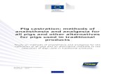 Pig castration: methods of anaesthesia and analgesia for ... · Written by CASTRUM consortium December – 2016 Pig castration: methods of anaesthesia and analgesia for all pigs and