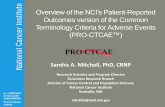 Overview of the NCI’s Patient-Reported Outcomes version of ... · Overview of the NCI’s Patient-Reported Outcomes version of the Common Terminology Criteria for Adverse Events
