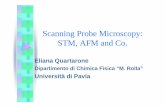 Scanning Probe Microscopy: STM, AFM and Co. ciclo... · Introduzione • Microscopia ottica ed elettronica – Ingrandimenti: ~ 1000×e ~100000 × rispettivamente – Immagini nel