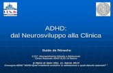 ADHD: dal Neurosviluppo alla Clinica - AIDAI Associazione · American Psychiatric Association, Diagnostic and Statistical Manual of mental Disorders, 5th ed (DSM-V). Washington, DC: