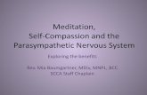 Meditation, Self-Compassion and the Parasympathetic Nervous .Self-Compassion and the Parasympathetic