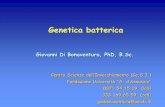 Genetica batterica - ch.unich.it MICROBIOLOGIA MEDICINA... · Effetti sul fenotipo: – Generalmente, sono compatibili con la sopravvivenza del batterio, grazie alla sua eterogeneità