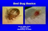 Bed Bug Basics - Purdue Extension Entomology · Bed Bug Basics Dini M. Miller, Ph.D. ... transported bed bugs all over the world ... The Signs of Bed Bug Presence • Bed bugs have