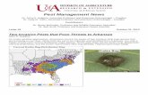 Pest Management News - uaex.edu · Pest Management News ... Professor and Extension Weed Scientist Letter #6 October 31, ... species in bold represent those with the highest densities