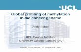 Global profiling of methylation in the cancer genome - Illumina · Global profiling of methylation in the cancer genome Andy Feber UCL Cancer Institute University College London,