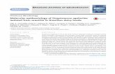 Molecular epidemiology of Streptococcus agalactiae - SciELO · b razilian journal of microbiology 48 (2017)551–559 ht tp:// Veterinary Microbiology Molecular epidemiology of Streptococcus