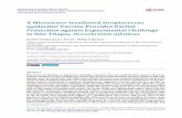 A Microwave-Irradiated Streptococcus agalactiae Vaccine ...file.scirp.org/pdf/WJV_2014112809392971.pdf · D. J. Pasnik et al. 186 niques described here to determine S. agalactiae-free