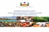 Terra Ranka - UNESCO · repÚblica da guinÉ-bissau guinee bissau 2025 plan strategique et operationnel 2015-2020 « terra ranka » document 1 : resume executif mars 2015