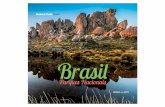 National Parks Brazil - andredib.com.br · Brazil in its immensity today houses 69 national parks located in the five macro-regions, protecting the northern areas of virgin forests