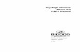 BigDog Mowers Diablo MP Parts Manual · BigDog® Mowers Diablo MP Parts Manual. ... Pump Assembly RS NOTES: 1 ... PART NO. QTY. DESCRIPTION 1 603762 1 TUBE, LP-TM RH LOOP 1/2" 2 603761