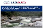 ANALYSIS OF THE TOURISM VALUE CHAIN FOR THE …library.bfreebz.org/Social Science/USAID, Analysis of the Tourism... · Plataforma Turistica Sostenible Tela Members of Guaruma !! ANALYSIS
