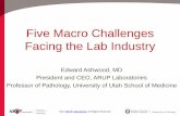 Five Macro Challenges Facing the Lab Industry Macro Challenges Webinar... · 2014-04-10 · Five Macro Challenges Facing the Lab Industry Edward Ashwood, MD President and CEO, ...