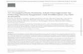 research article 12-Deoxyphorbols Promote Adult ... · Humana, Universidad de Cádiz, Cádiz, Spain (Dr Verástegui). ... ornithine-coated 8-well glass slide chambers (Lab-Tek) and