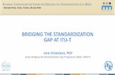 BRIDGING THE STANDARDIZATION GAP AT ITU-T · BRIDGING THE STANDARDIZATION GAP AT ITU-T Lara Srivastava, PhD Head, Bridging the Standardization Gap Programme (BSG), TSB/ITU REGIONAL