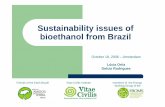 Sustainability issues of bioethanol from Brazil - RIO 12 · Sustainability issues of bioethanol from Brazil October 18, 2006 – Amsterdam Lúcia Ortiz Delcio Rodrigues ...
