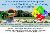 Croplands Research Group and Inventories & Monitoring ... · Croplands Research Group and Inventories & Monitoring Cross-Cutting Group Meeting Ladislau Martin-Neto, Executive Director-