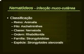 NematNematódeos Nematódeos - Universidade Federal do Rio ... Parasito/Medicina/helmipar09.pdf · NematNematódeos Nematódeos -- infecinfecção muco-cutâneainfecçção mucoão