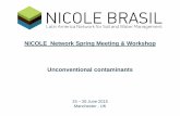 NICOLE Network Spring Meeting & Workshop Unconventional contaminants ... Brasil_final... · Building Management Support Background and support slides NICOLE Network Spring Meeting