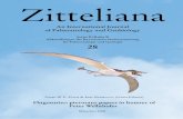 First pterosaur remains from the Exu Formation (Cretaceous ... · First pterosaur remains from the Exu Formation (Cretaceous) of the Araripe Basin, Brazil 243 ERIC BUFFETAUT Late